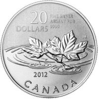 20 Dollar Silbermünze Penny